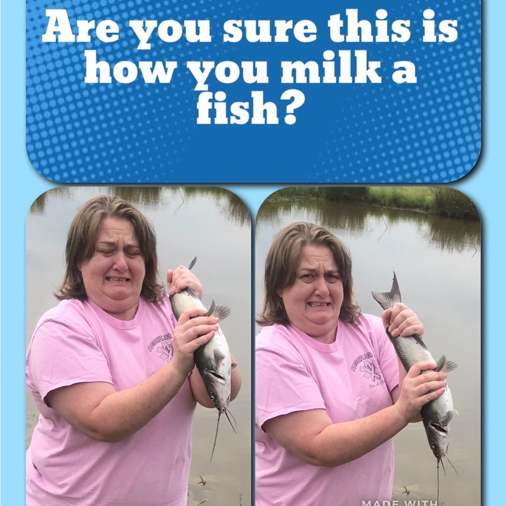 Meet your Posher, Misty and Shane